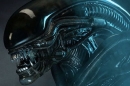 xenomorph_27